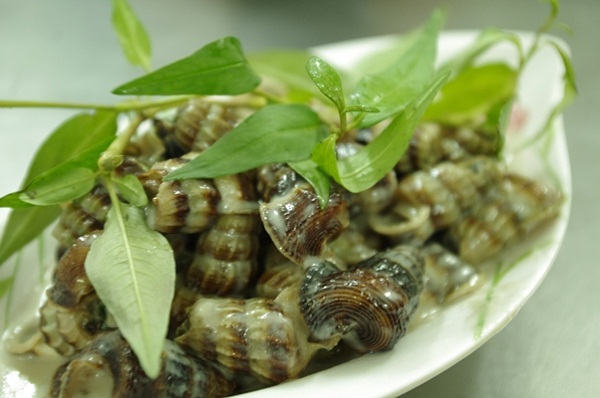 Hàng ốc đêm ngon nhất Quận 4 7