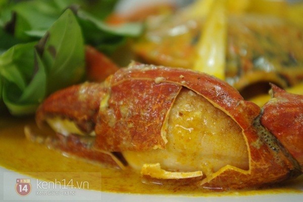 Cà ri tôm càng siêu ngon khuyến mãi ở Ốc Thảo, Quận 4 - Ảnh 2.