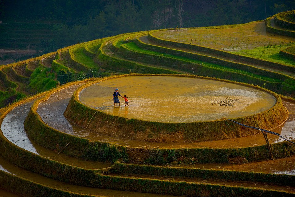 Những bí kíp của “ông thầy anh” để có một bức ảnh long lanh - Ảnh 8. Những bí kíp của “ông thầy anh” để có một bức ảnh long lanh - Ảnh 8.