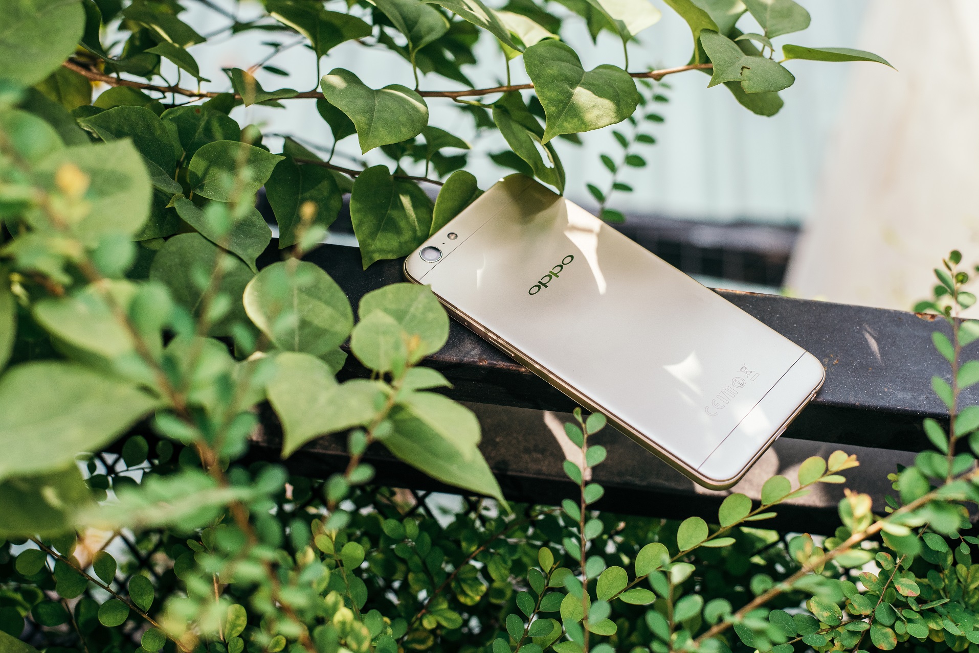 Chần chờ gì nữa, sở hữu ngay OPPO A39 cho Giáng sinh thêm xinh - Ảnh 1. Chần chờ gì nữa, sở hữu ngay OPPO A39 cho Giáng sinh thêm xinh - Ảnh 1.