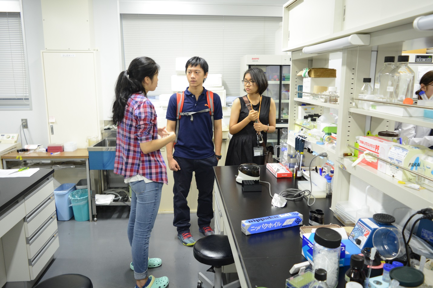 Khám phá đất nước Nhật Bản – Cơ hội trong mơ dành cho học sinh THPT - Ảnh 1. Khám phá đất nước Nhật Bản – Cơ hội trong mơ dành cho học sinh THPT - Ảnh 1.