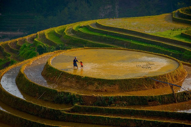 Những bí kíp của “ông thầy anh” để có một bức ảnh long lanh - Ảnh 8.