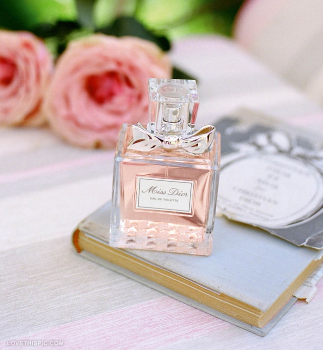 Người ta ngất ngây trước một cô gái dáng chuẩn mặt xinh, nhưng lại mê mẩn nhớ nhung một mùi hương - Ảnh 2. Người ta ngất ngây trước một cô gái dáng chuẩn mặt xinh, nhưng lại mê mẩn nhớ nhung một mùi hương - Ảnh 2.