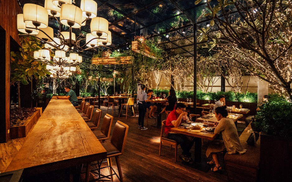 Lạc bước vào rừng thông Bắc Âu tại The LOG - Ảnh 1. Lạc bước vào rừng thông Bắc Âu tại The LOG - Ảnh 1.