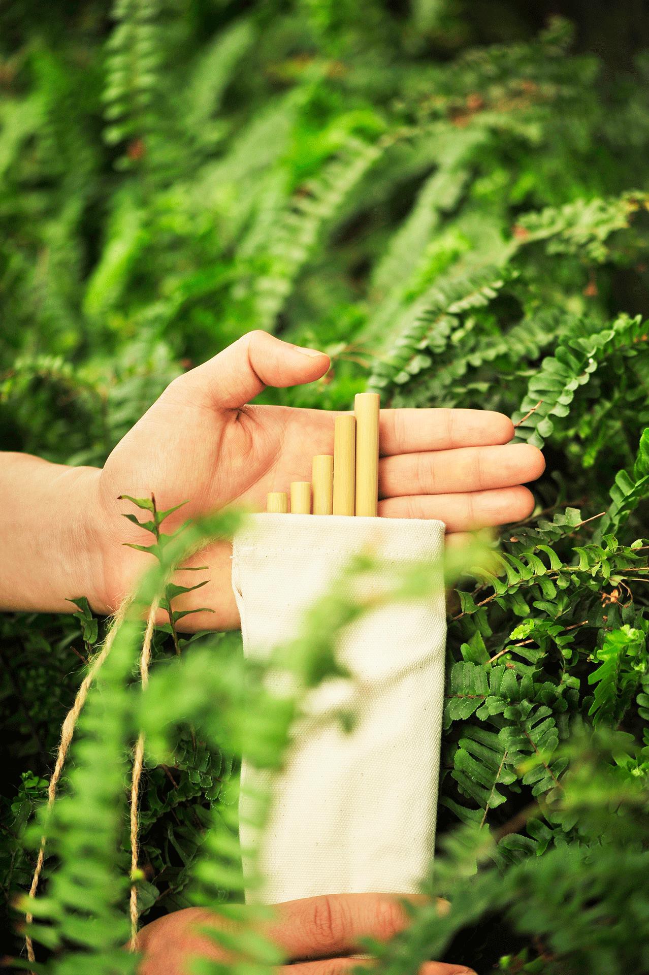 Túi bột ngô và nhiều vật dụng để yêu”môi trường theo cách riêng của bạn - Ảnh 1. Túi bột ngô và nhiều vật dụng để yêu”môi trường theo cách riêng của bạn - Ảnh 1.