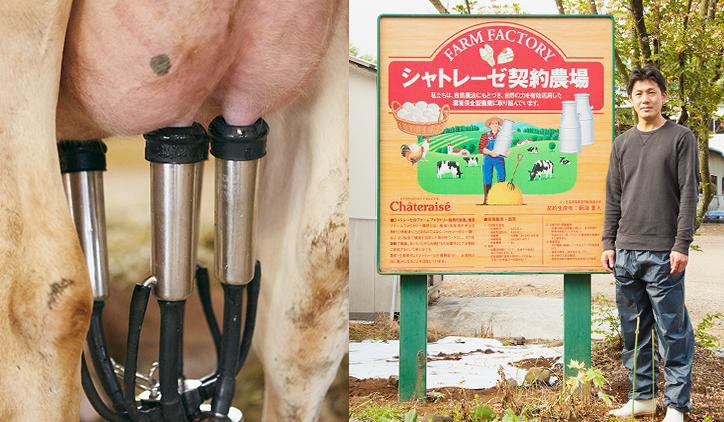 Bí mật ẩn trong những chiếc bánh “ăn một lần là mê” nổi danh khắp nước Nhật - Ảnh 3. Bí mật ẩn trong những chiếc bánh “ăn một lần là mê” nổi danh khắp nước Nhật - Ảnh 3.