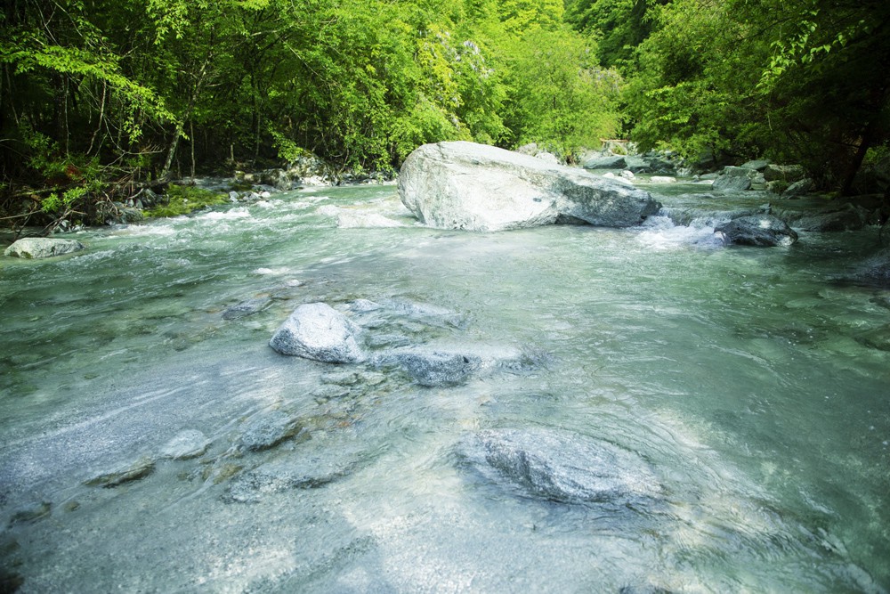 Bí mật ẩn trong những chiếc bánh “ăn một lần là mê” nổi danh khắp nước Nhật - Ảnh 5. Bí mật ẩn trong những chiếc bánh “ăn một lần là mê” nổi danh khắp nước Nhật - Ảnh 5.