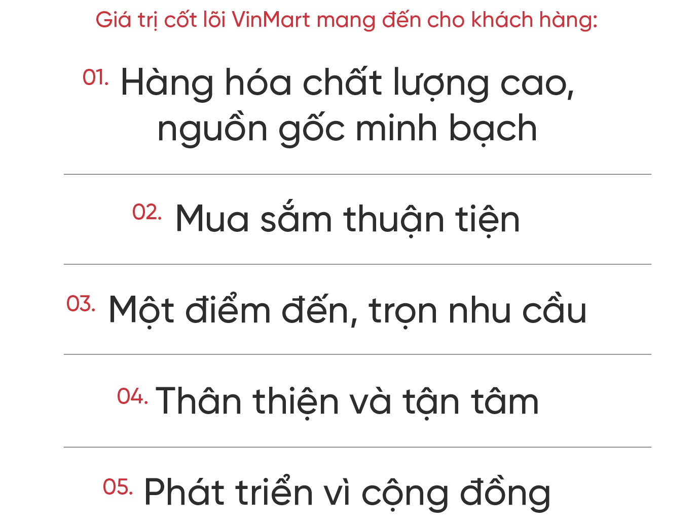 Doanh nghiệp bán lẻ Việt Nam và “cuộc chiến” thị phần ngay trên sân nhà - Ảnh 13.