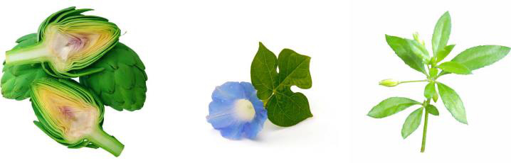 Giới trẻ đừng chủ quan với lá gan của chính mình - Ảnh 7. Giới trẻ đừng chủ quan với lá gan của chính mình - Ảnh 7.