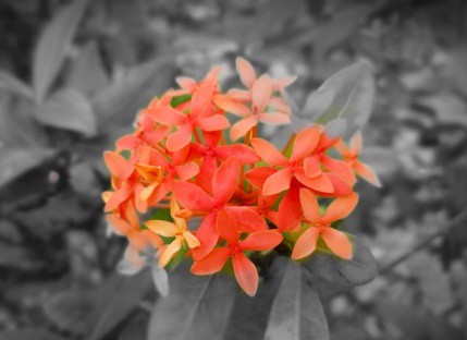 Tậu ngay bí kíp “a lê hấp”, biến bản thân thành Hot Instagramer ngàn like chỉ trong một nốt nhạc - Ảnh 2. Tậu ngay bí kíp “a lê hấp”, biến bản thân thành Hot Instagramer ngàn like chỉ trong một nốt nhạc - Ảnh 2.