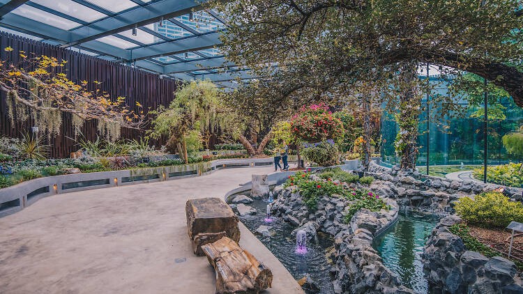 Chưa biết chơi gì tại Singapore? Gợi ý lịch trình ăn chơi 4 ngày tại đảo quốc cho mùa hè này! - Ảnh 6. Chưa biết chơi gì tại Singapore? Gợi ý lịch trình ăn chơi 4 ngày tại đảo quốc cho mùa hè này! - Ảnh 6.