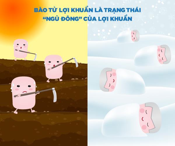 Giúp mẹ phân biệt bào tử lợi khuẩn và lợi khuẩn để nuôi con khỏe mạnh hơn? - Ảnh 2. Giúp mẹ phân biệt bào tử lợi khuẩn và lợi khuẩn để nuôi con khỏe mạnh hơn? - Ảnh 2.