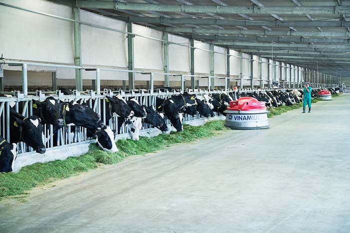 Vinamilk gia nhập “câu lạc bộ tỷ đô” của khu vực châu Á - Thái Bình Dương - Ảnh 4. Vinamilk gia nhập “câu lạc bộ tỷ đô” của khu vực châu Á - Thái Bình Dương - Ảnh 4.