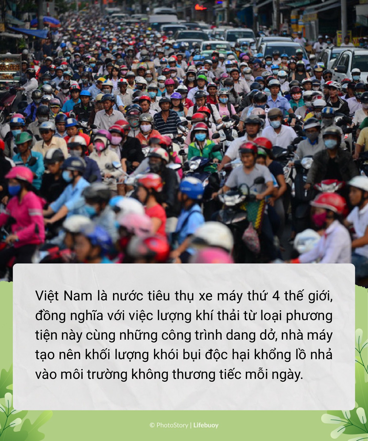 Trồng cây vây bụi mịn - Trend vì môi trường siêu hot thời điểm hiện tại - Ảnh 1. Trồng cây vây bụi mịn - Trend vì môi trường siêu hot thời điểm hiện tại - Ảnh 1.
