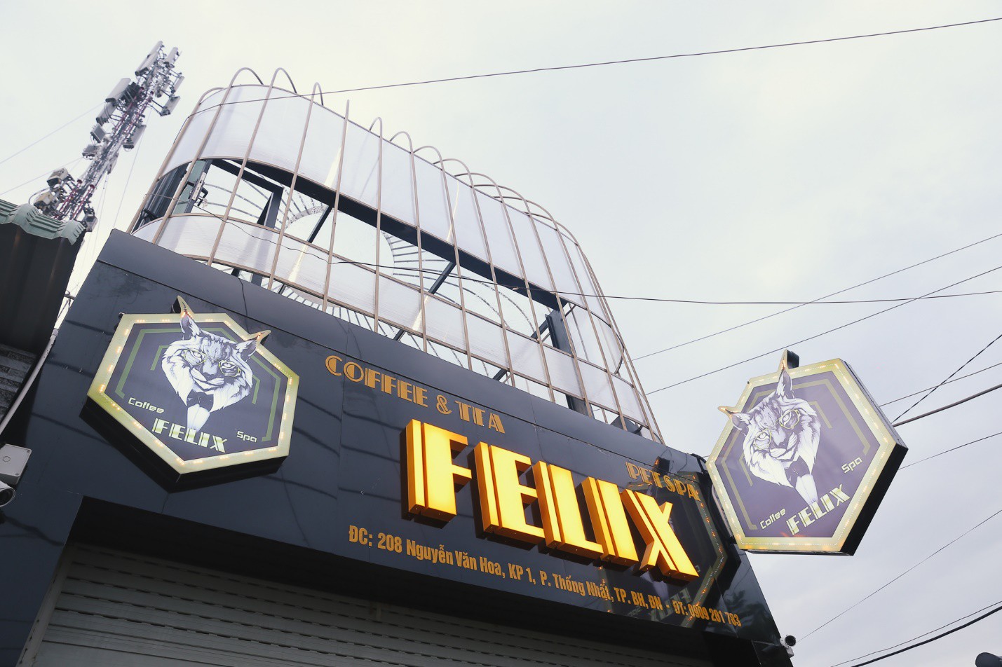 Tức tốc check-in ngay quán cafe thú cưng FELIX siêu độc ở Biên Hòa - Ảnh 1. Tức tốc check-in ngay quán cafe thú cưng FELIX siêu độc ở Biên Hòa - Ảnh 1.