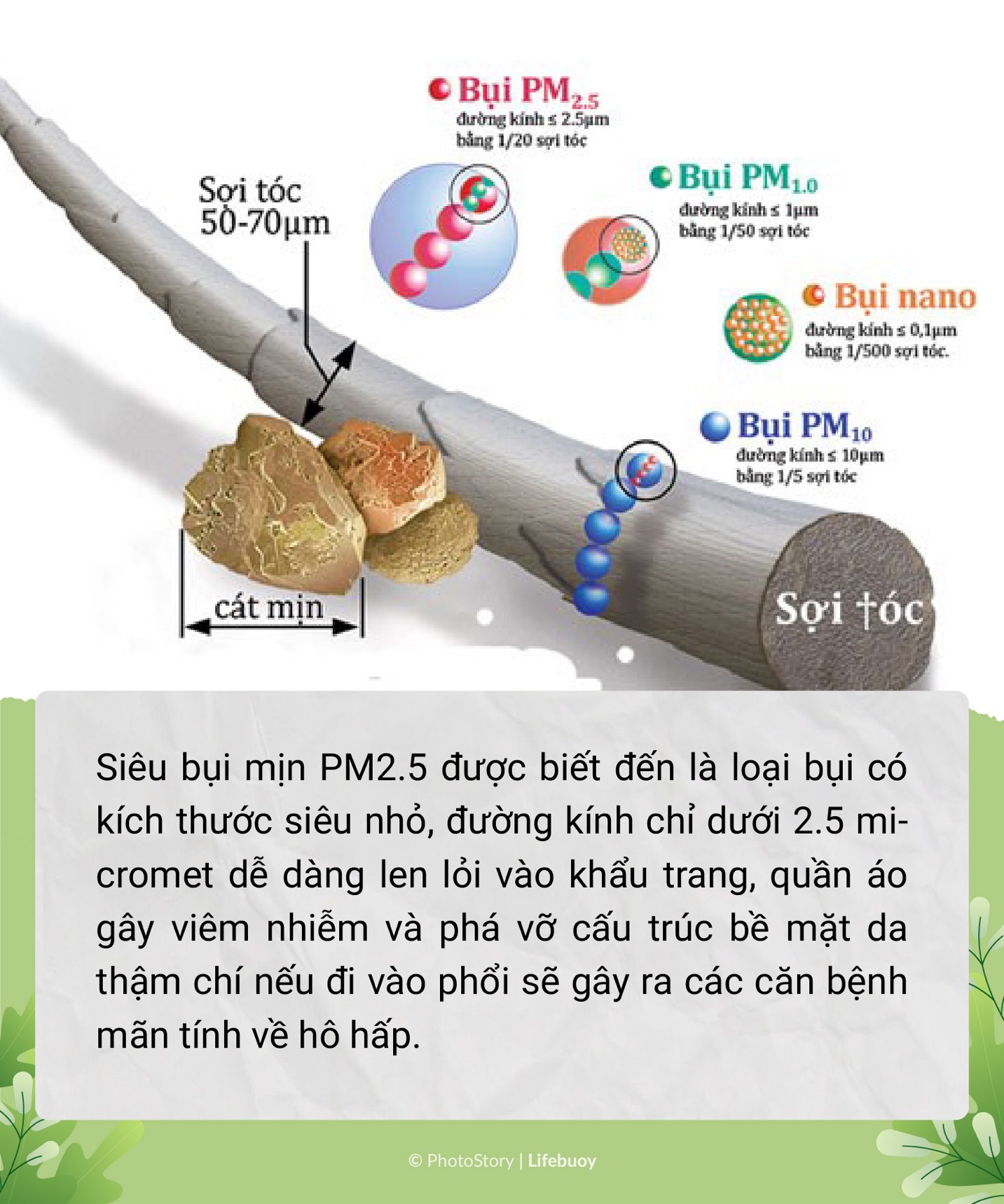Trồng cây vây bụi mịn - Trend vì môi trường siêu hot thời điểm hiện tại - Ảnh 3. Trồng cây vây bụi mịn - Trend vì môi trường siêu hot thời điểm hiện tại - Ảnh 3.