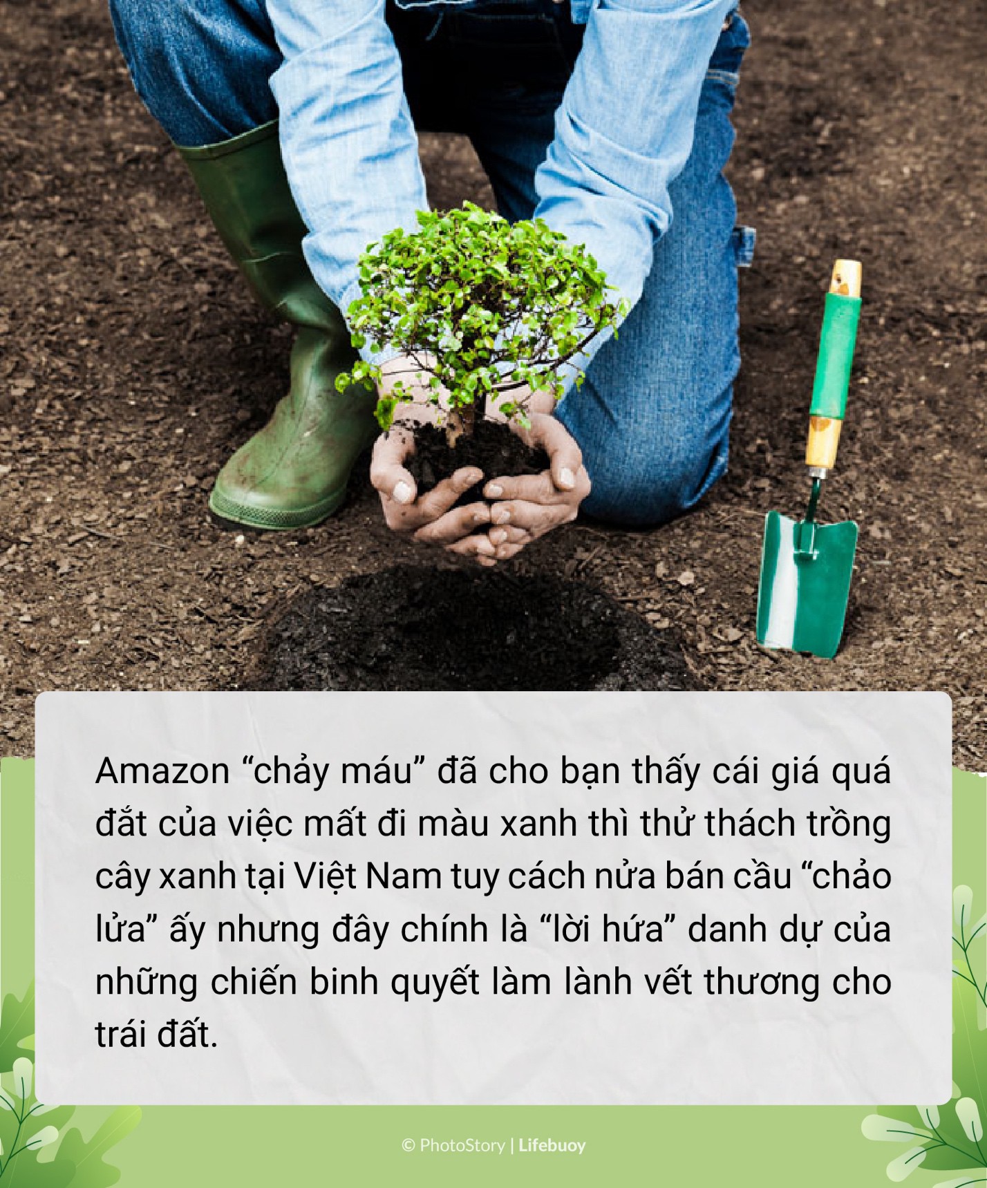 Trồng cây vây bụi mịn - Trend vì môi trường siêu hot thời điểm hiện tại - Ảnh 7. Trồng cây vây bụi mịn - Trend vì môi trường siêu hot thời điểm hiện tại - Ảnh 7.