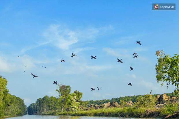 Những vườn quốc gia nổi tiếng Việt Nam bạn nhất định phải ghé thăm một lần - Ảnh 6.