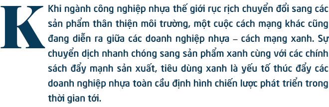 Việt Nam sắp có nhà máy nguyên liệu xanh lớn nhất Đông Nam Á: An Phát Holdings tham vọng gì? - Ảnh 1.