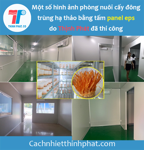 Chọn vách ngăn phòng sạch nuôi cấy đông trùng hạ thảo - Ảnh 2.