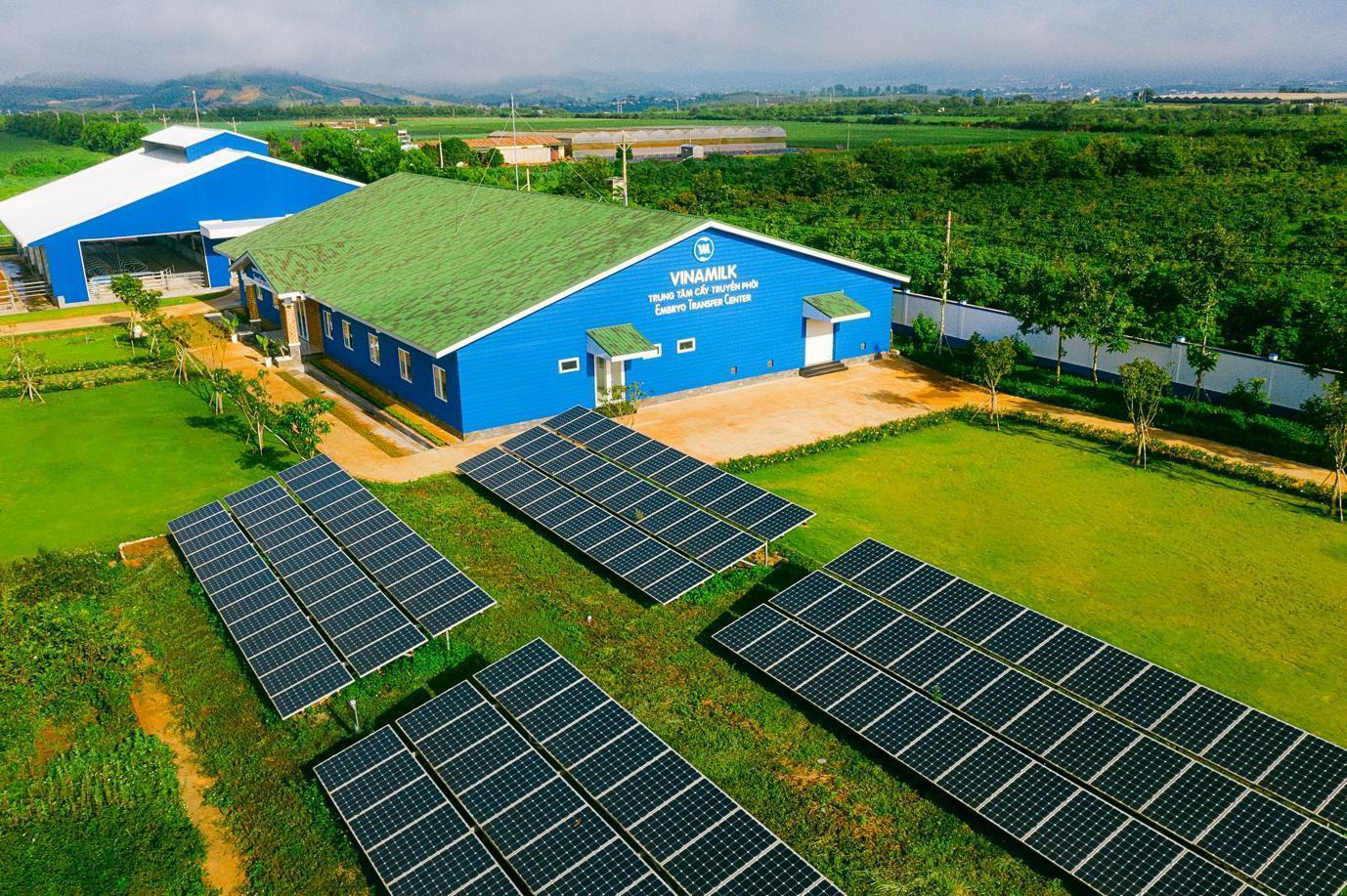 Khám phá trang trại Vinamilk Organic để mẹ yên tâm nạp dưỡng chất cùng con - Ảnh 3. Khám phá trang trại Vinamilk Organic để mẹ yên tâm nạp dưỡng chất cùng con - Ảnh 3.