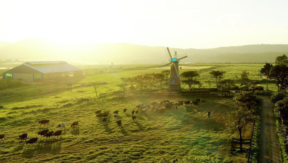 Khám phá trang trại Vinamilk Organic để mẹ yên tâm nạp dưỡng chất cùng con - Ảnh 4. Khám phá trang trại Vinamilk Organic để mẹ yên tâm nạp dưỡng chất cùng con - Ảnh 4.