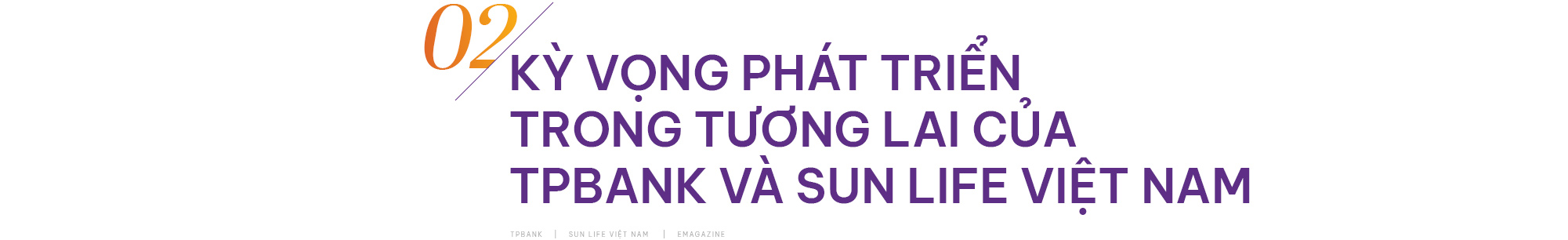 TPBank - Sun Life Việt Nam và câu chuyện gặt hái “quả ngọt” từ kênh phân phối Bancassurance - Ảnh 6.