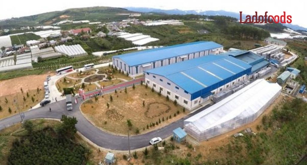 Việt Nam ở đâu trên bản đồ vang thế giới? - Ảnh 2. Việt Nam ở đâu trên bản đồ vang thế giới? - Ảnh 2.