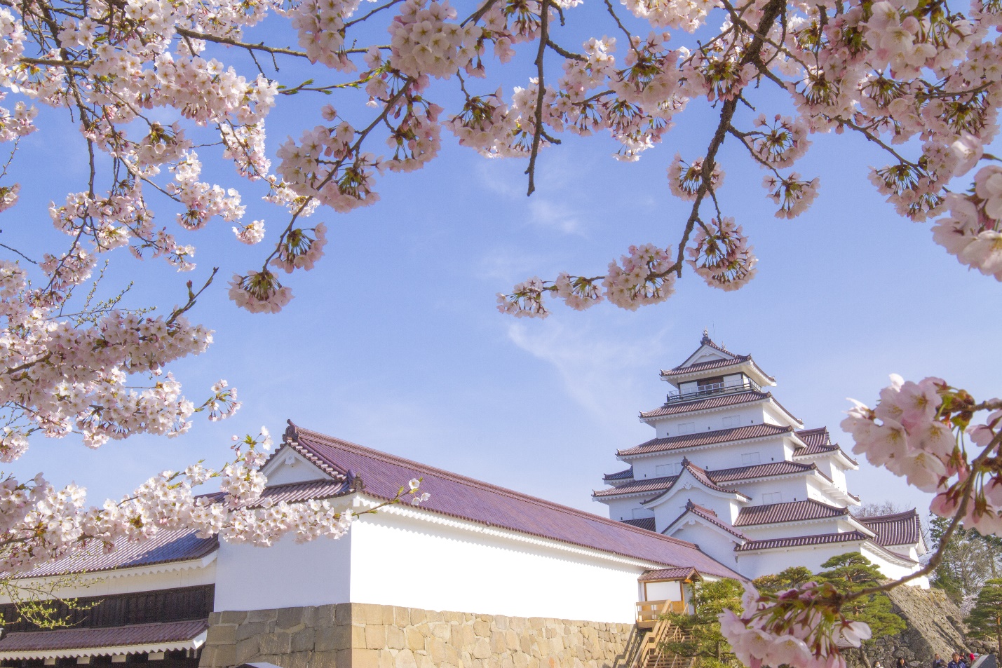 Image result for hình ảnh đẹp lâu đài osaka Nhật bản