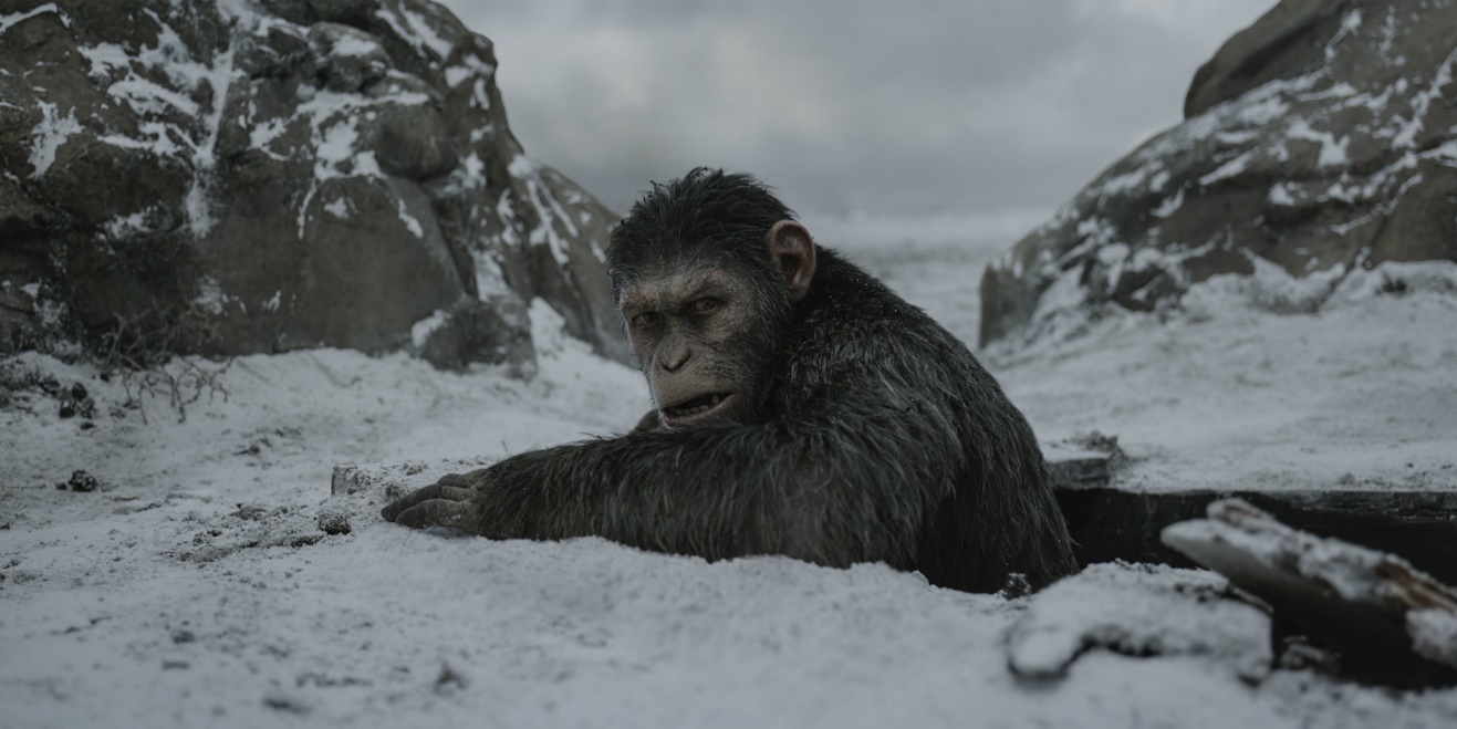 “Đại chiến hành tinh khỉ” – Cái kết mãn nhãn và xúc động cho loạt phim bom tấn “The Apes” - Ảnh 6.