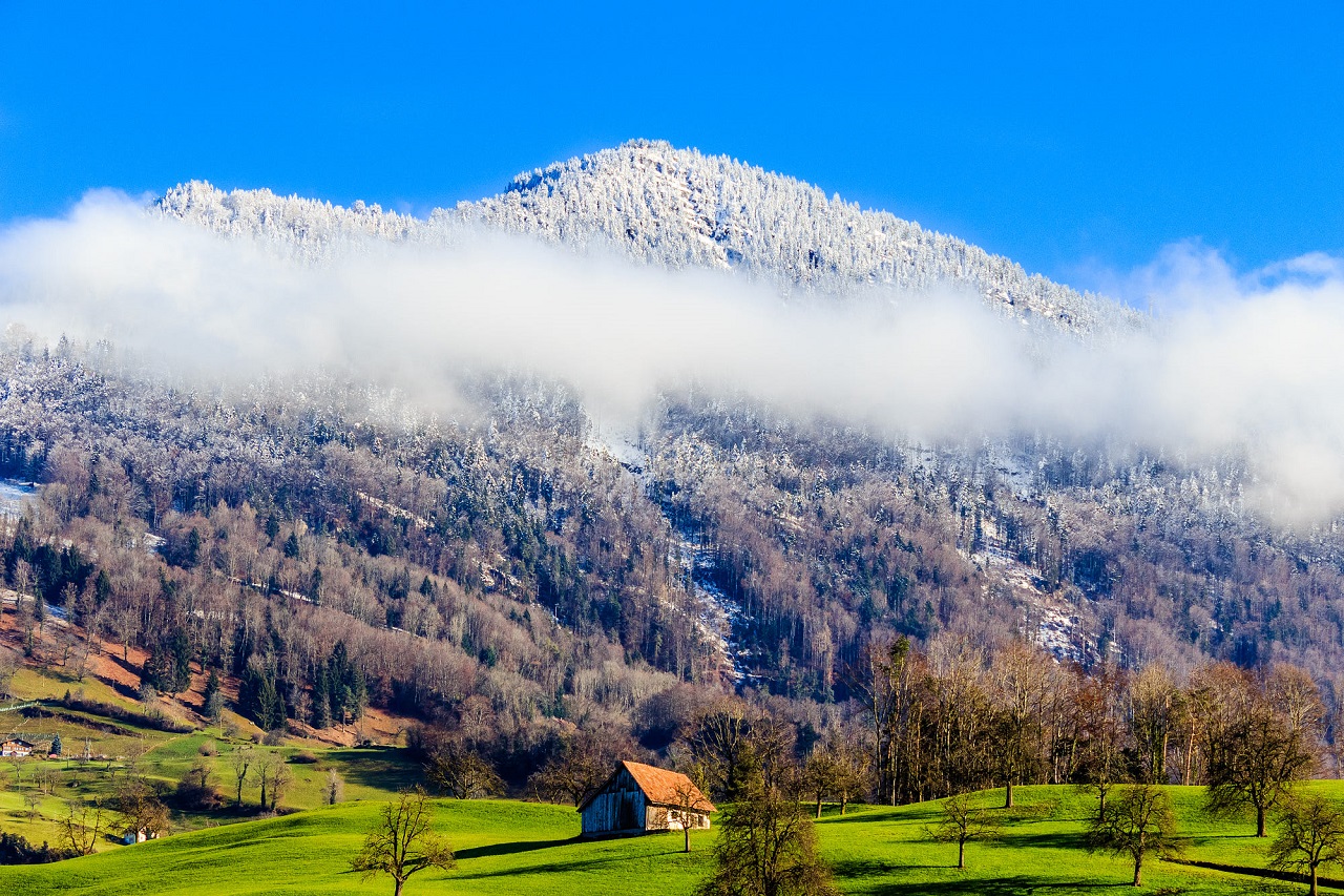 Được gì khi thực tập trong ngành Nhà hàng khách sạn tại Thụy Sĩ? - Ảnh 1. Được gì khi thực tập trong ngành Nhà hàng khách sạn tại Thụy Sĩ? - Ảnh 1.