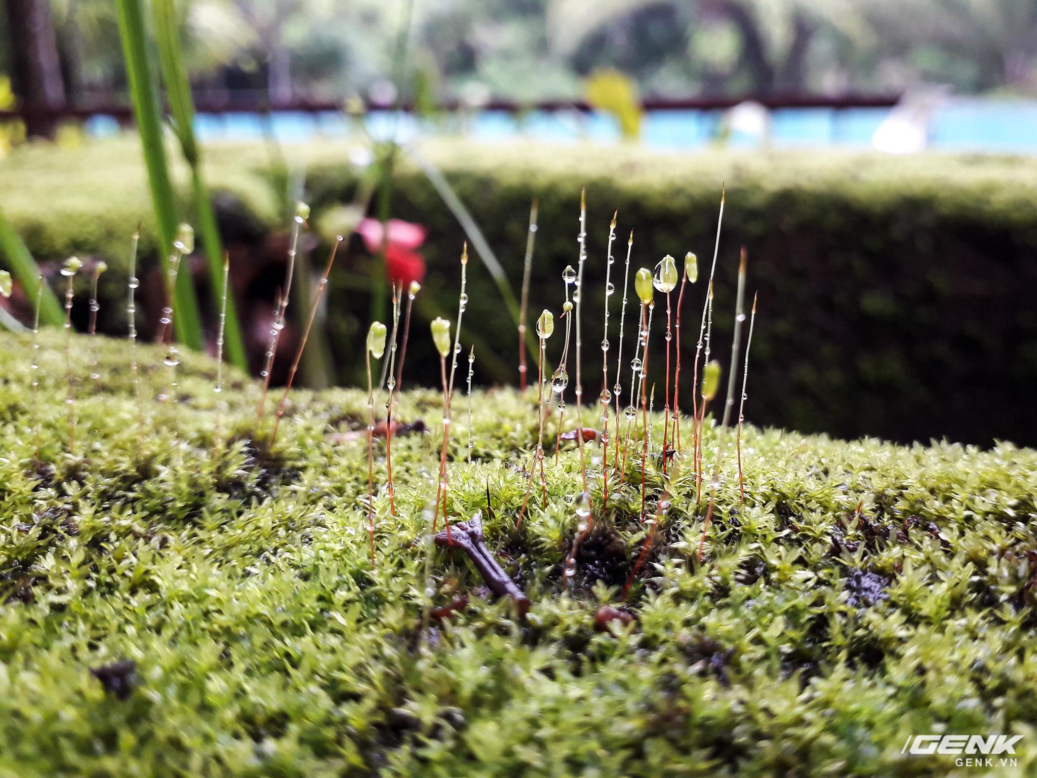 Trải nghiệm camera Galaxy J3 Pro - Đàn em của J7 Pro vẫn thừa sức “chinh phục bóng tối” - Ảnh 10. Trải nghiệm camera Galaxy J3 Pro - Đàn em của J7 Pro vẫn thừa sức “chinh phục bóng tối” - Ảnh 10.