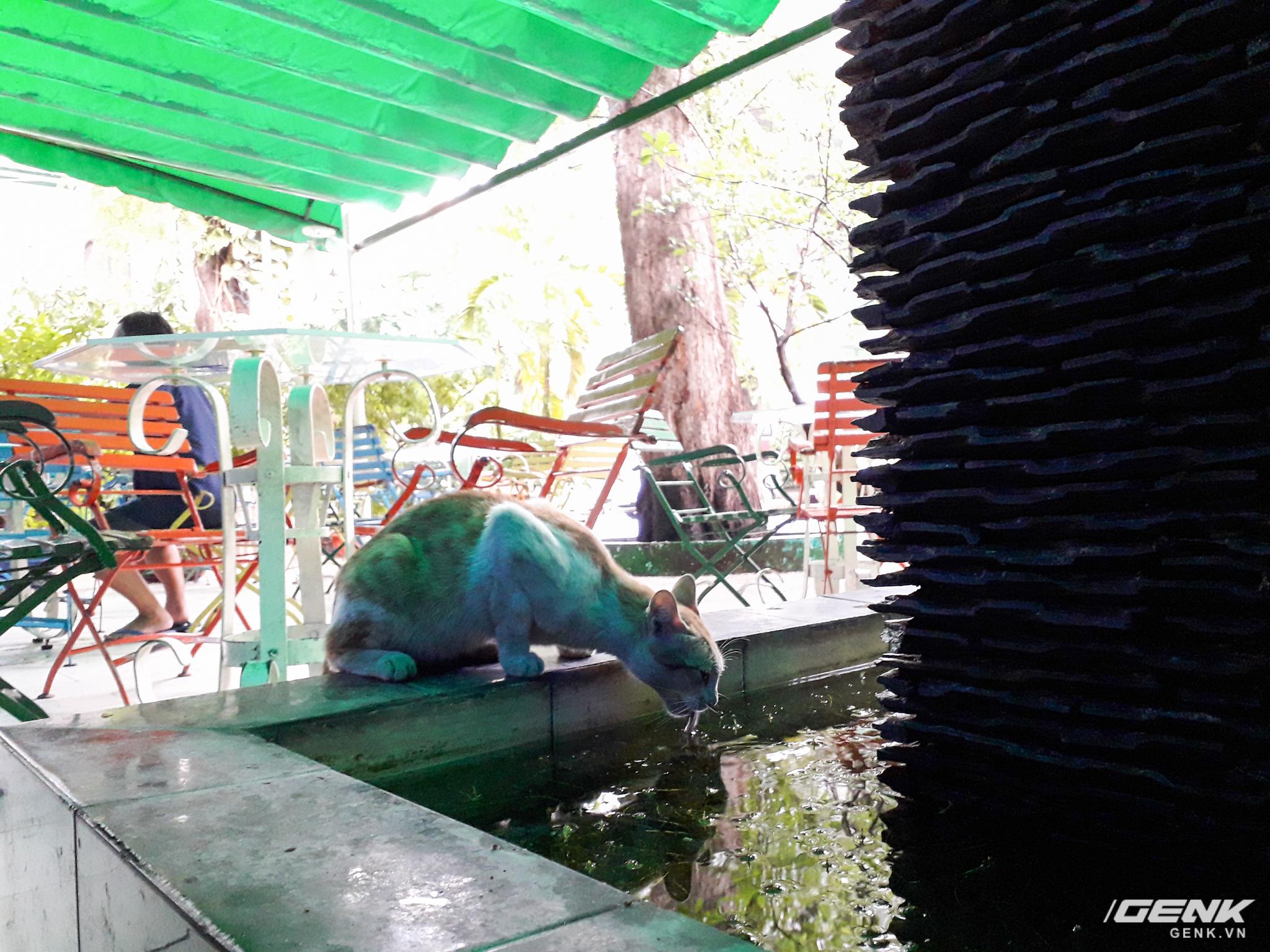 Trải nghiệm camera Galaxy J3 Pro - Đàn em của J7 Pro vẫn thừa sức “chinh phục bóng tối” - Ảnh 17. Trải nghiệm camera Galaxy J3 Pro - Đàn em của J7 Pro vẫn thừa sức “chinh phục bóng tối” - Ảnh 17.