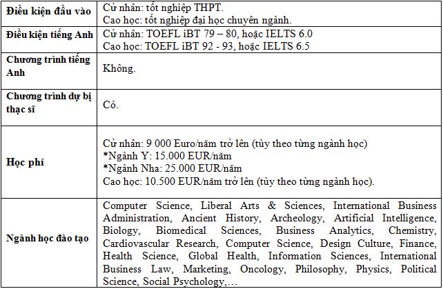 Tại sao nên chọn du học Hà Lan? - Ảnh 3. Tại sao nên chọn du học Hà Lan? - Ảnh 3.