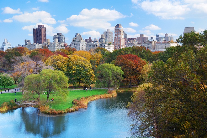 Đất lân cận Central Park New York là một trong những khu đất vàng đắt giá nhất - không của chỉ riêng nước Mỹ mà trên toàn thế giới.