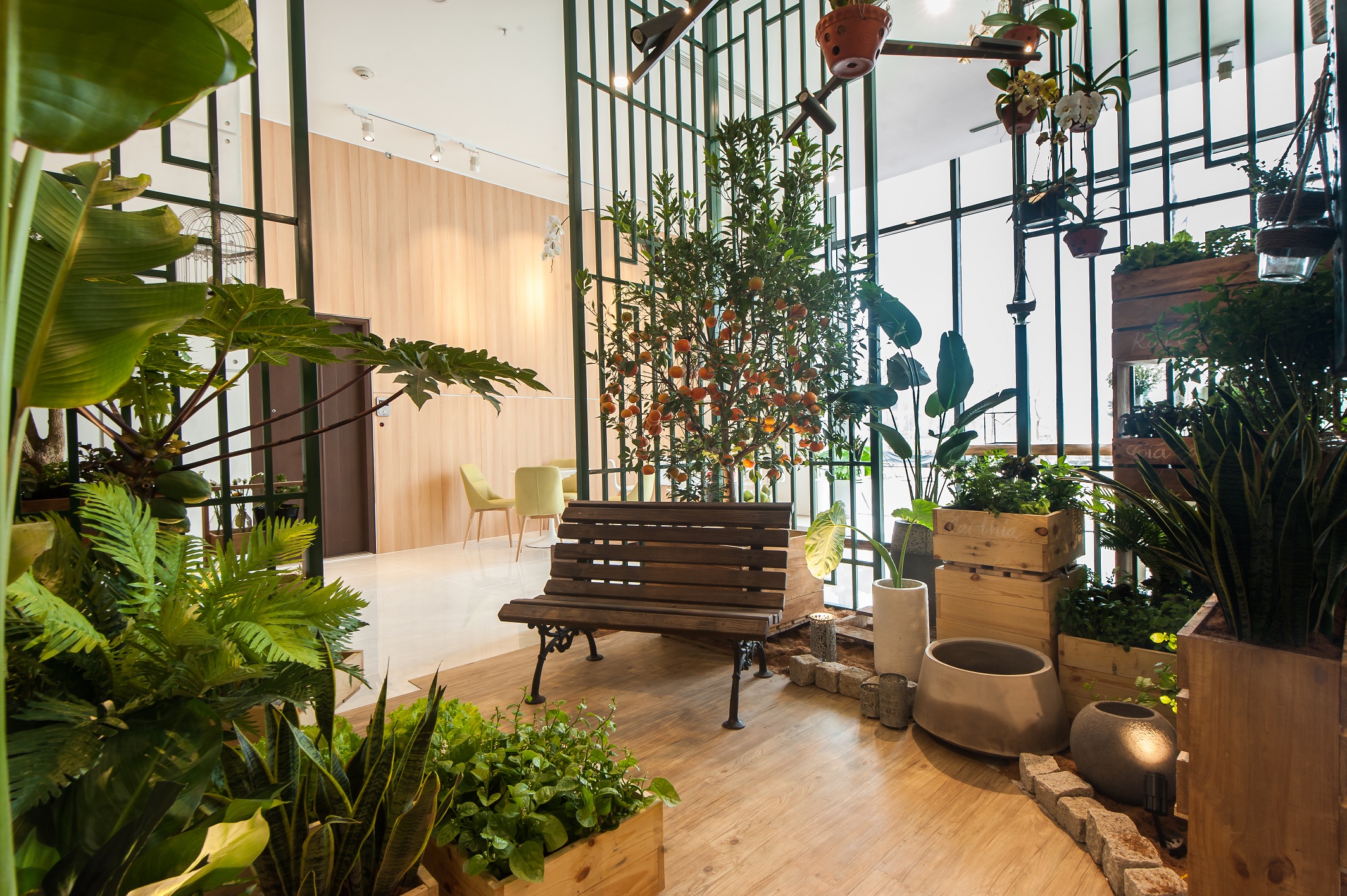 Tổ ấm có vườn của mẹ cũng là nơi đầu tiên con nhận biết về màu xanh của hoa lá.