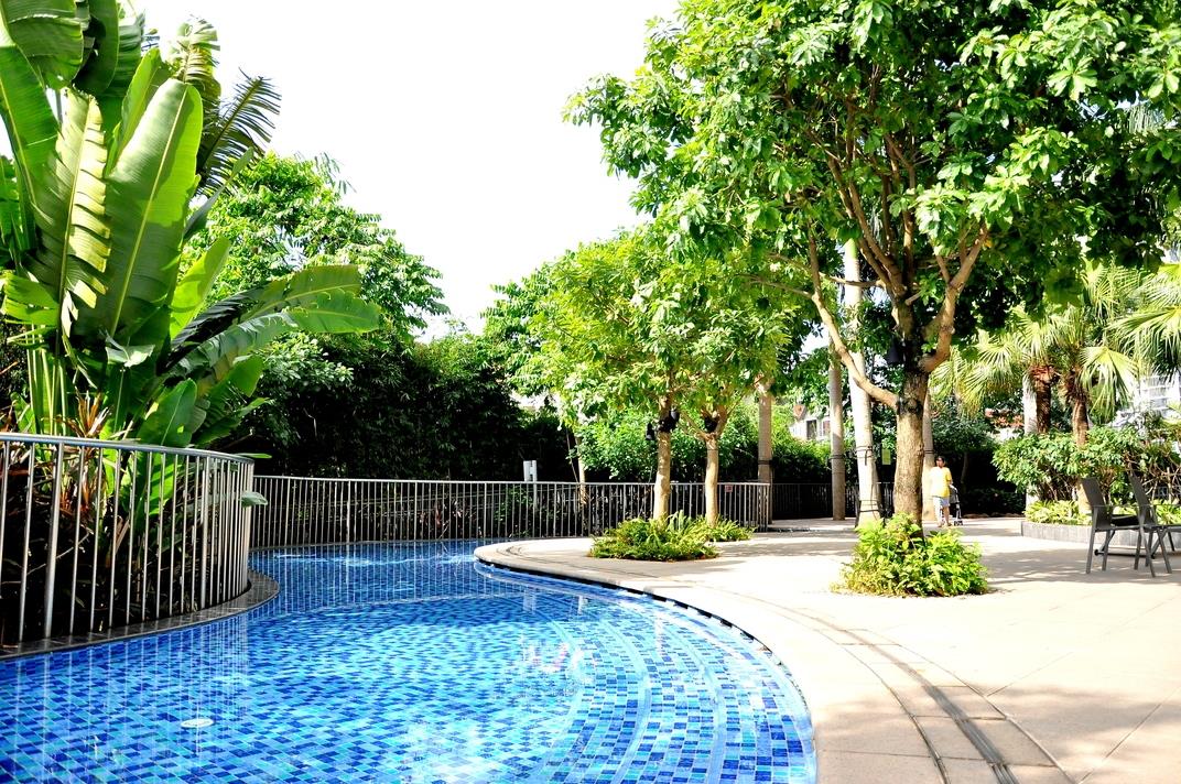 Dự án chung cư được thiết kế như khu resort với bể bơi và vườn cây.