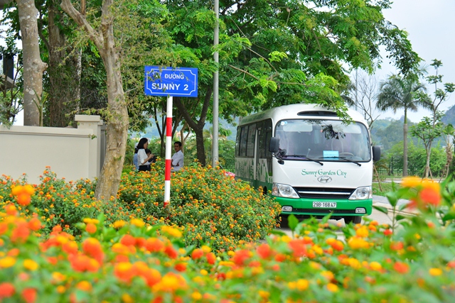 Sunny Garden City là khoảng xanh hiếm hoi với cỏ cây, hoa lá và những trảng cỏ xanh mướt mắt.