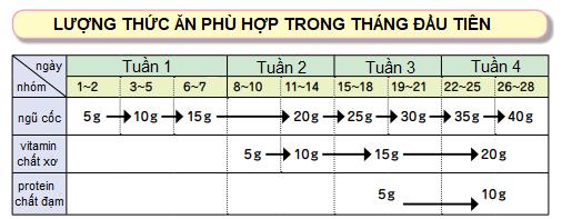 Hiểu đúng về chế độ ăn dặm chuẩn Nhật cho trẻ - Ảnh 4.