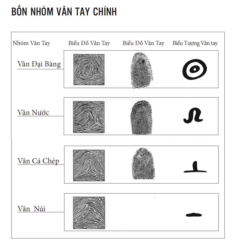 Sinh trắc vân tay chỉ với 210.000 đồng - Ảnh 4. Sinh trắc vân tay chỉ với 210.000 đồng - Ảnh 4.