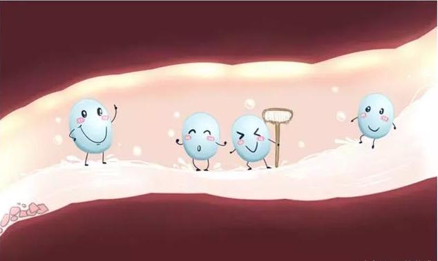 Bào tử lợi khuẩn – Đột phá mới trong ngành men vi sinh - Ảnh 2. Bào tử lợi khuẩn – Đột phá mới trong ngành men vi sinh - Ảnh 2.