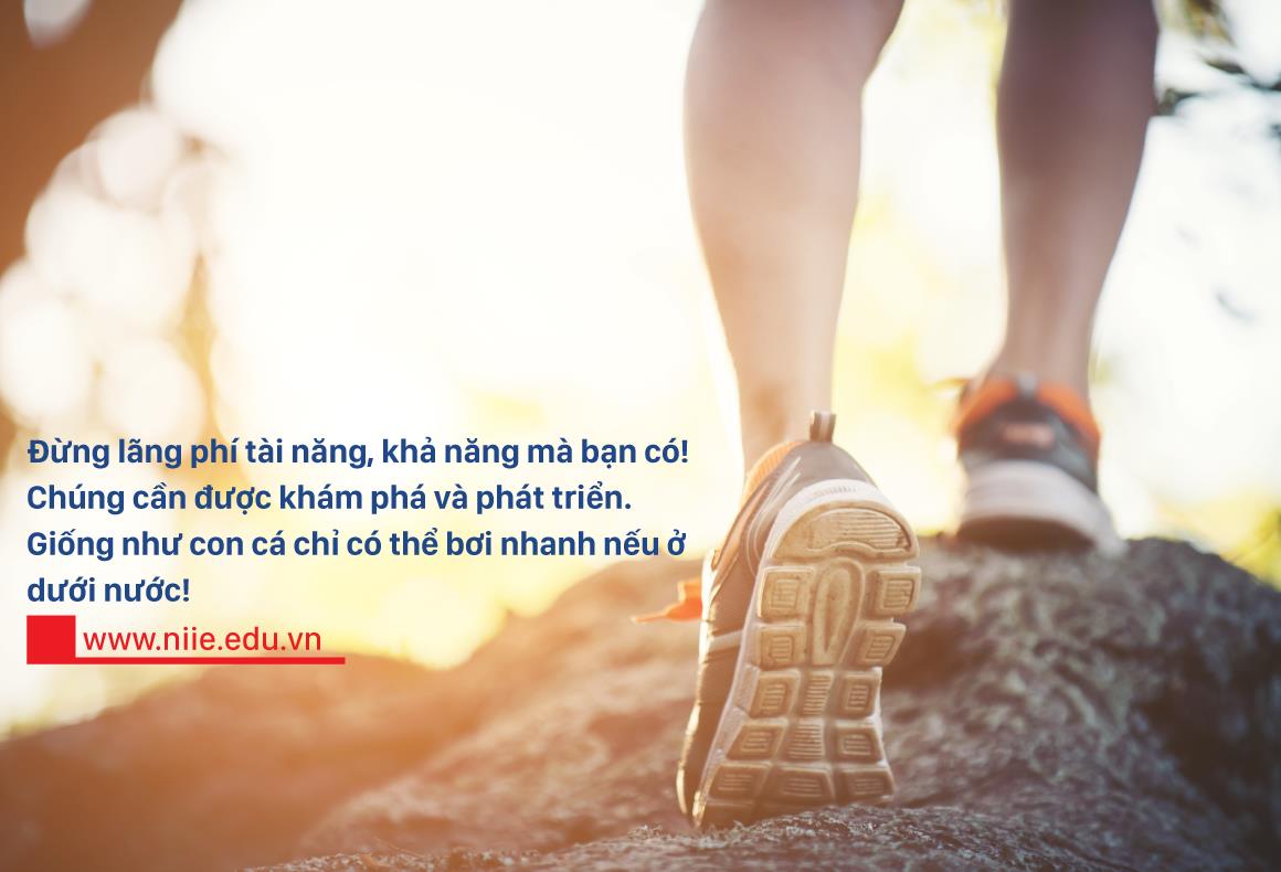 Chọn ngành, chọn trường – hãy là nhím, chớ là cáo! - Ảnh 3. Chọn ngành, chọn trường – hãy là nhím, chớ là cáo! - Ảnh 3.