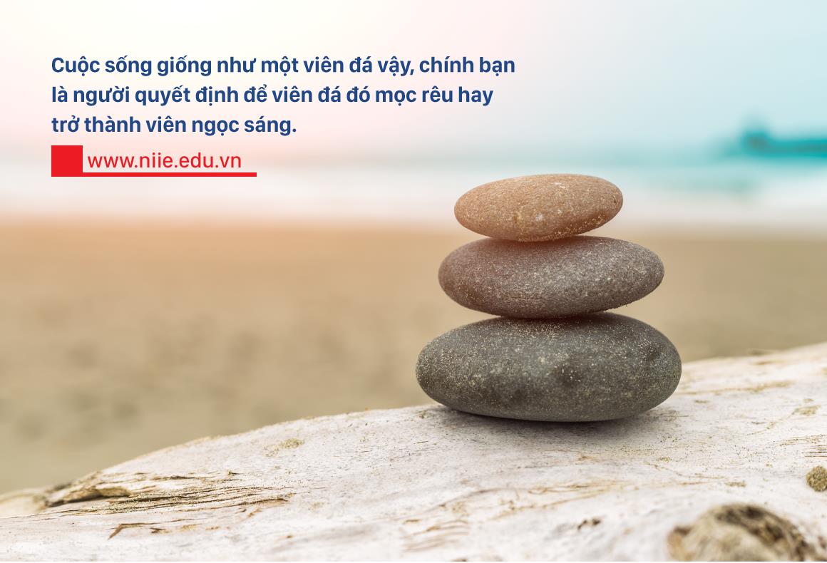 Chọn ngành, chọn trường – hãy là nhím, chớ là cáo! - Ảnh 4. Chọn ngành, chọn trường – hãy là nhím, chớ là cáo! - Ảnh 4.