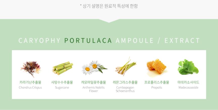 Kết quả hình ảnh cho caryophy portulaca ampoule