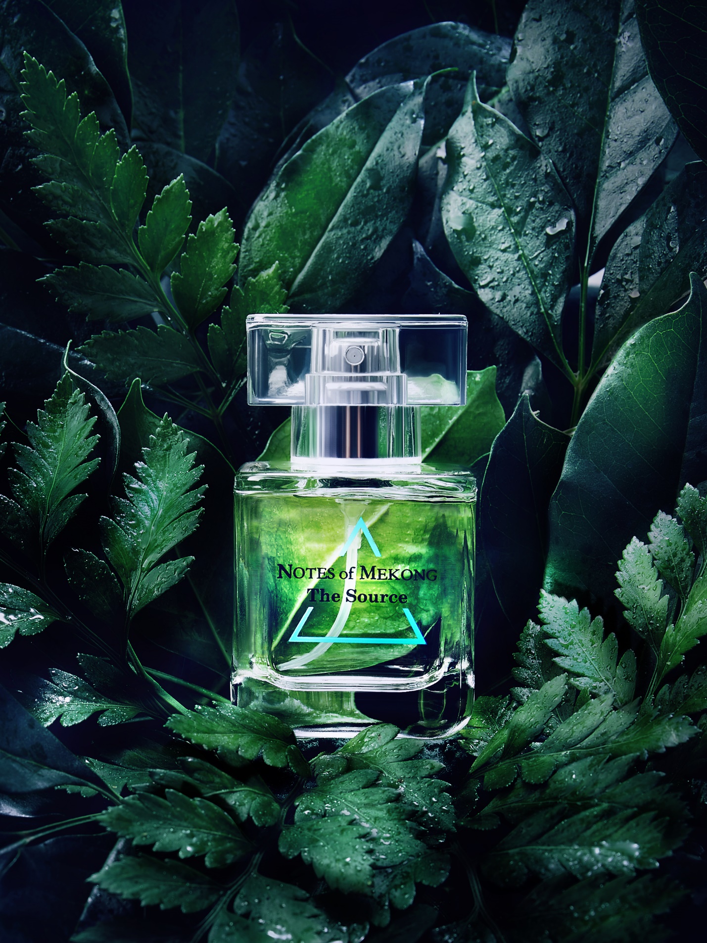 Notes of Mekong – Gọi tên miền thương nhớ - Ảnh 2. Notes of Mekong – Gọi tên miền thương nhớ - Ảnh 2.
