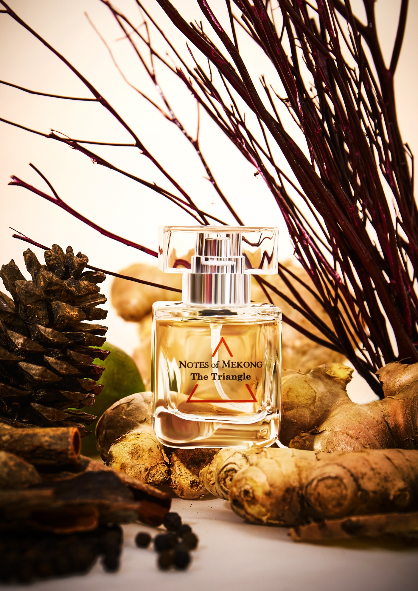 Notes of Mekong – Gọi tên miền thương nhớ - Ảnh 3. Notes of Mekong – Gọi tên miền thương nhớ - Ảnh 3.