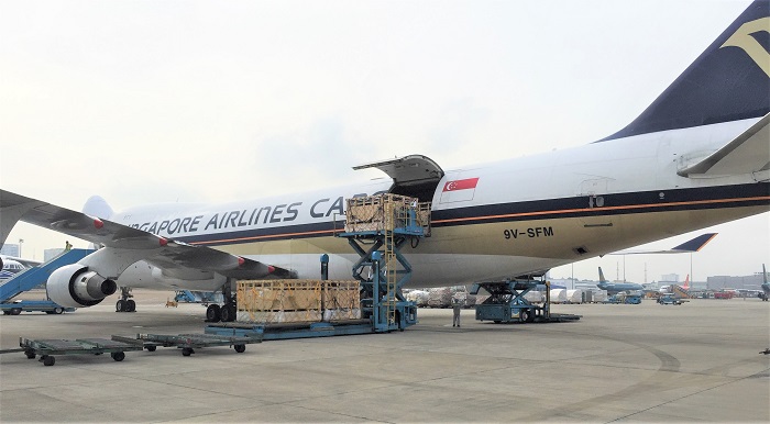 200 cô bò sữa hữu cơ “cưỡi” máy bay từ Úc về Việt Nam - Ảnh 2. 200 cô bò sữa hữu cơ “cưỡi” máy bay từ Úc về Việt Nam - Ảnh 2.