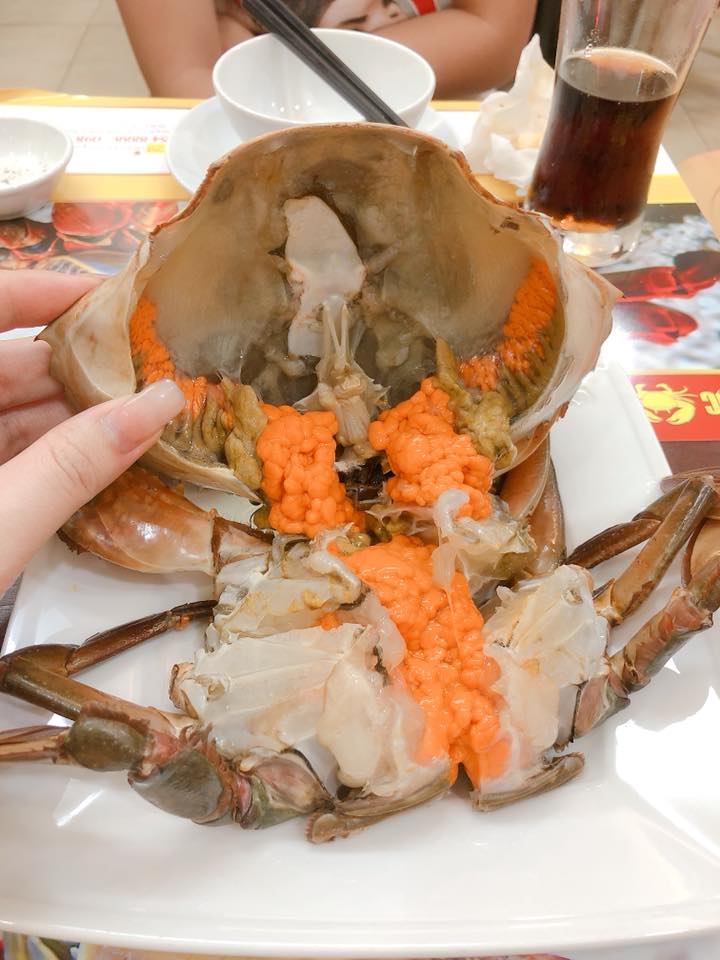 Nhà hàng Ngọc Cua: Địa chỉ quen thuộc của các thực khách sành ăn - Ảnh 5. Nhà hàng Ngọc Cua: Địa chỉ quen thuộc của các thực khách sành ăn - Ảnh 5.