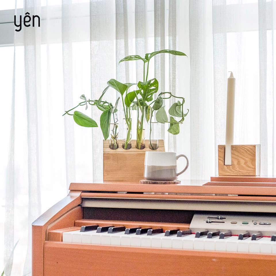 Sống xanh như Helly Tống với The Yên Concept - Ảnh 3. Sống xanh như Helly Tống với The Yên Concept - Ảnh 3.