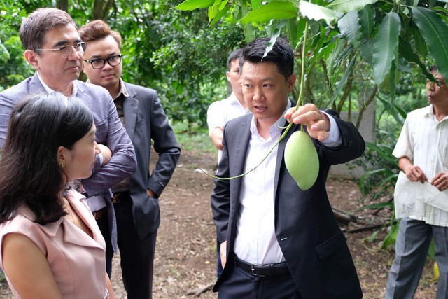​ Ông lớn “Hàn Quốc” hợp tác cùng doanh nghiệp Việt xuất khẩu trái cây ra thế giới - Ảnh 1.